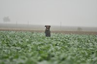 1/1250 s, F2.8, ISO 280
