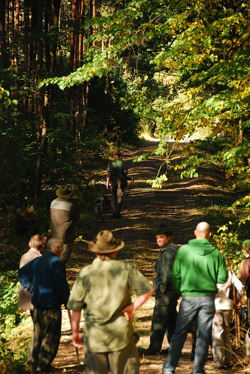 img00036.jpg